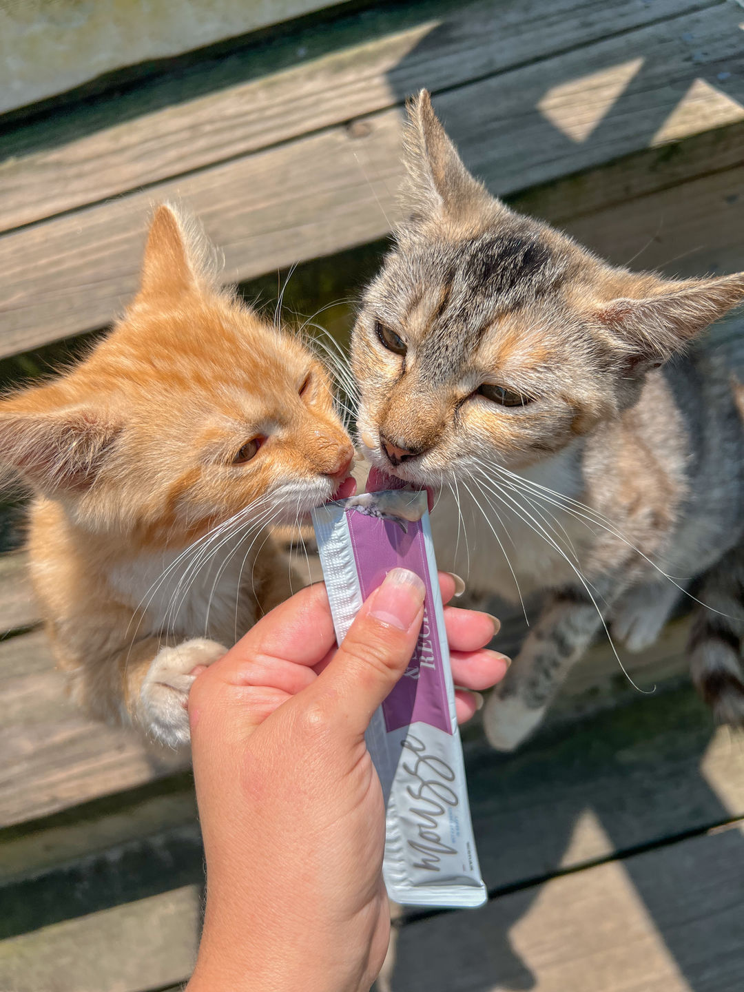 Customer photo review of Tuna & Salmon Cat Treats, Pack of 4