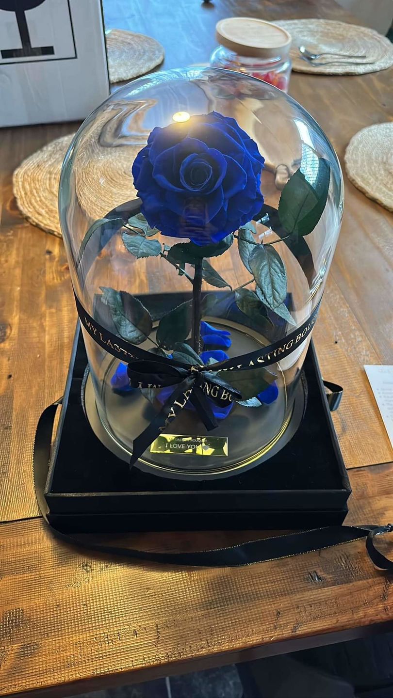 Customer photo review of Midnight Blue Lasting Belle