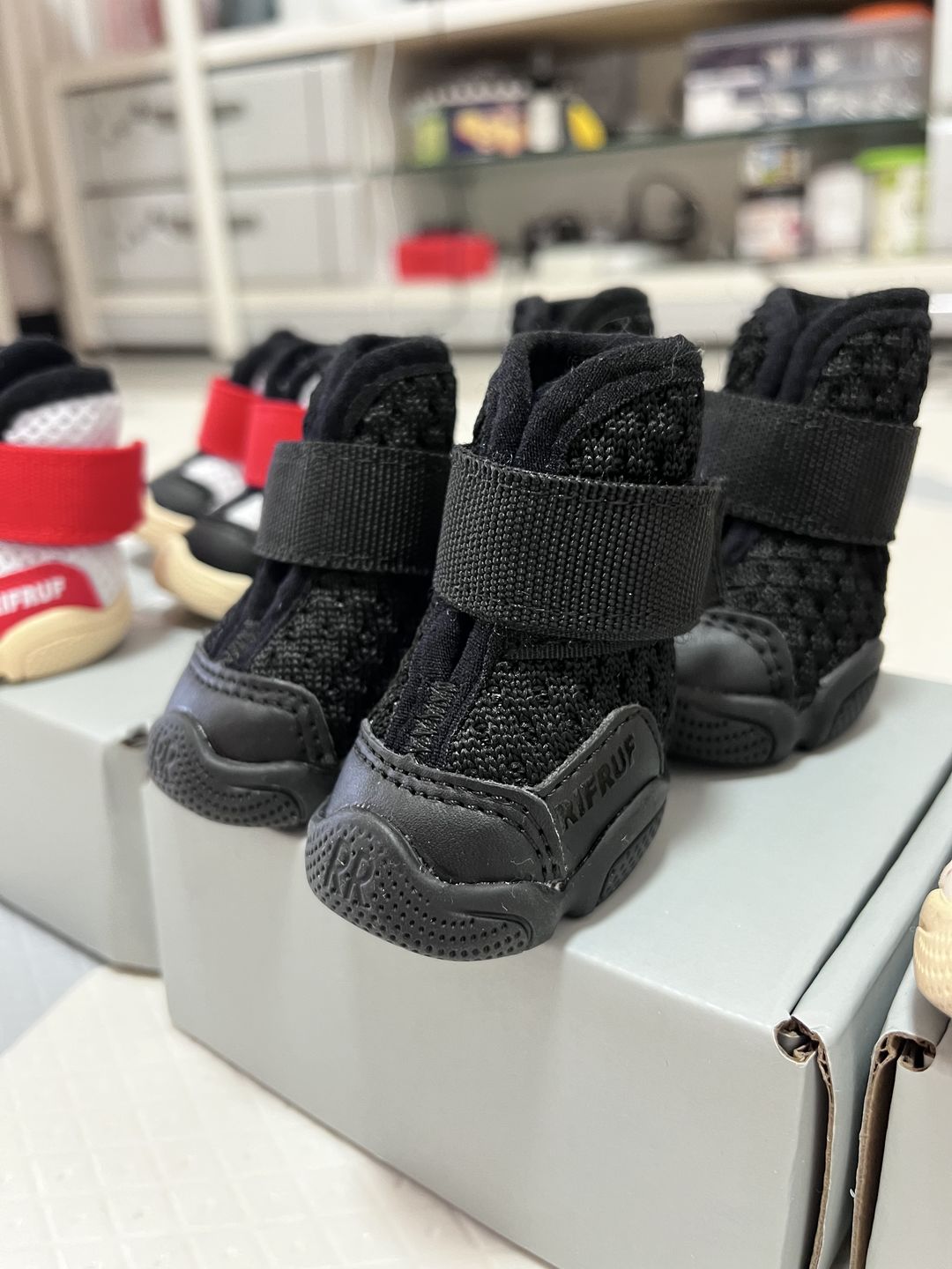 Customer photo review of Caesar 1S