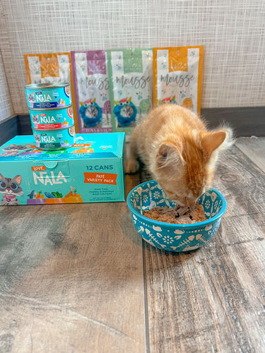 Customer photo review of Paté Variety Pack, 2.8-oz, Case of 12