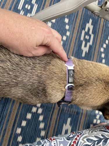 Customer photo review of ByteTag Slide