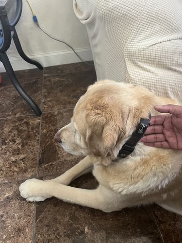 Customer photo review of ByteTag Slide