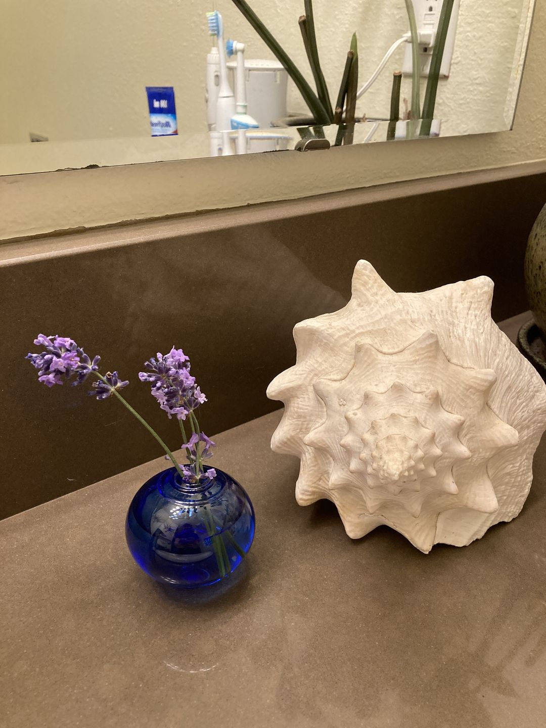 Customer photo review of Bud Vase