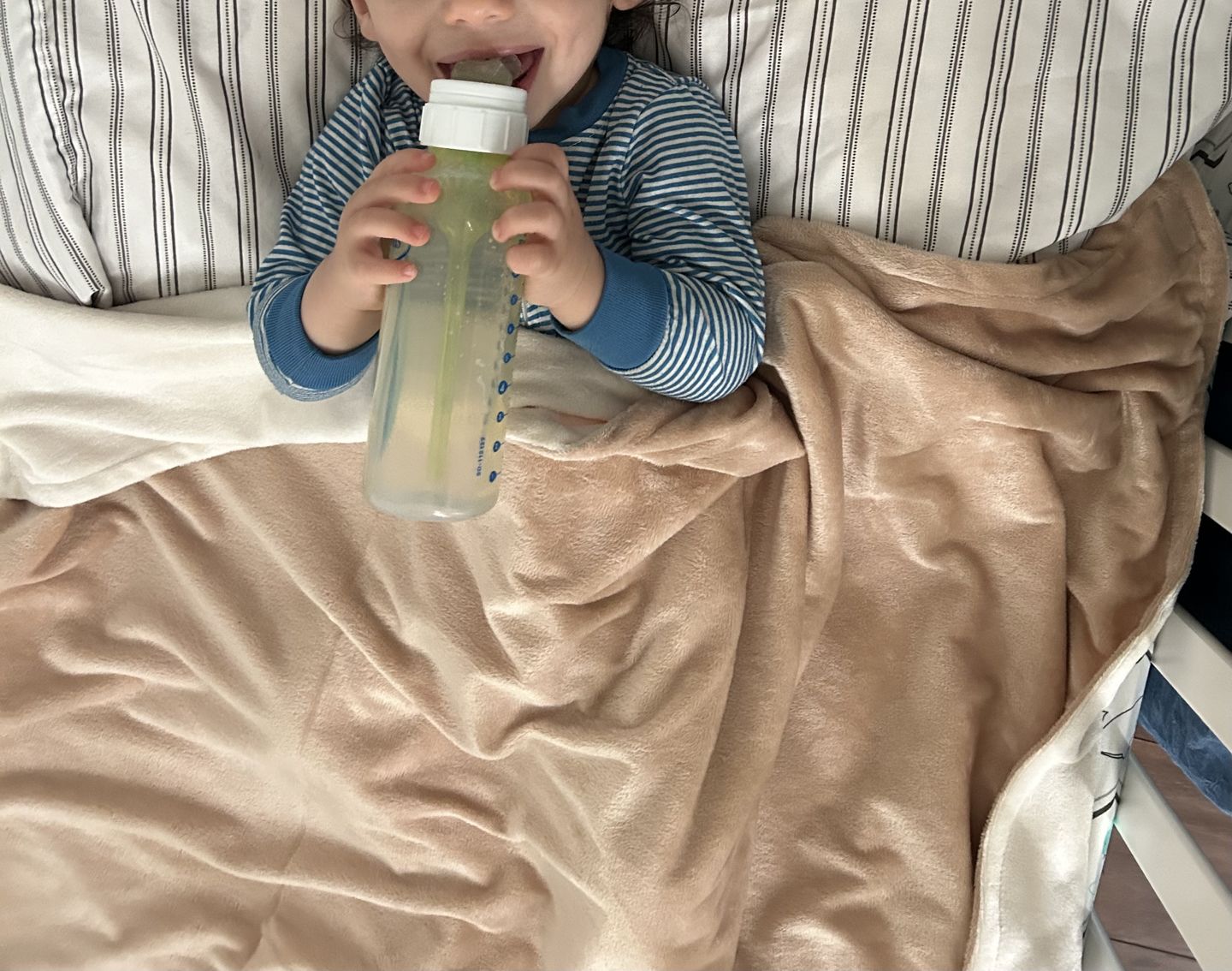 Customer photo review of MinkyBee Stroller Blanket ~ Camel/Ivory