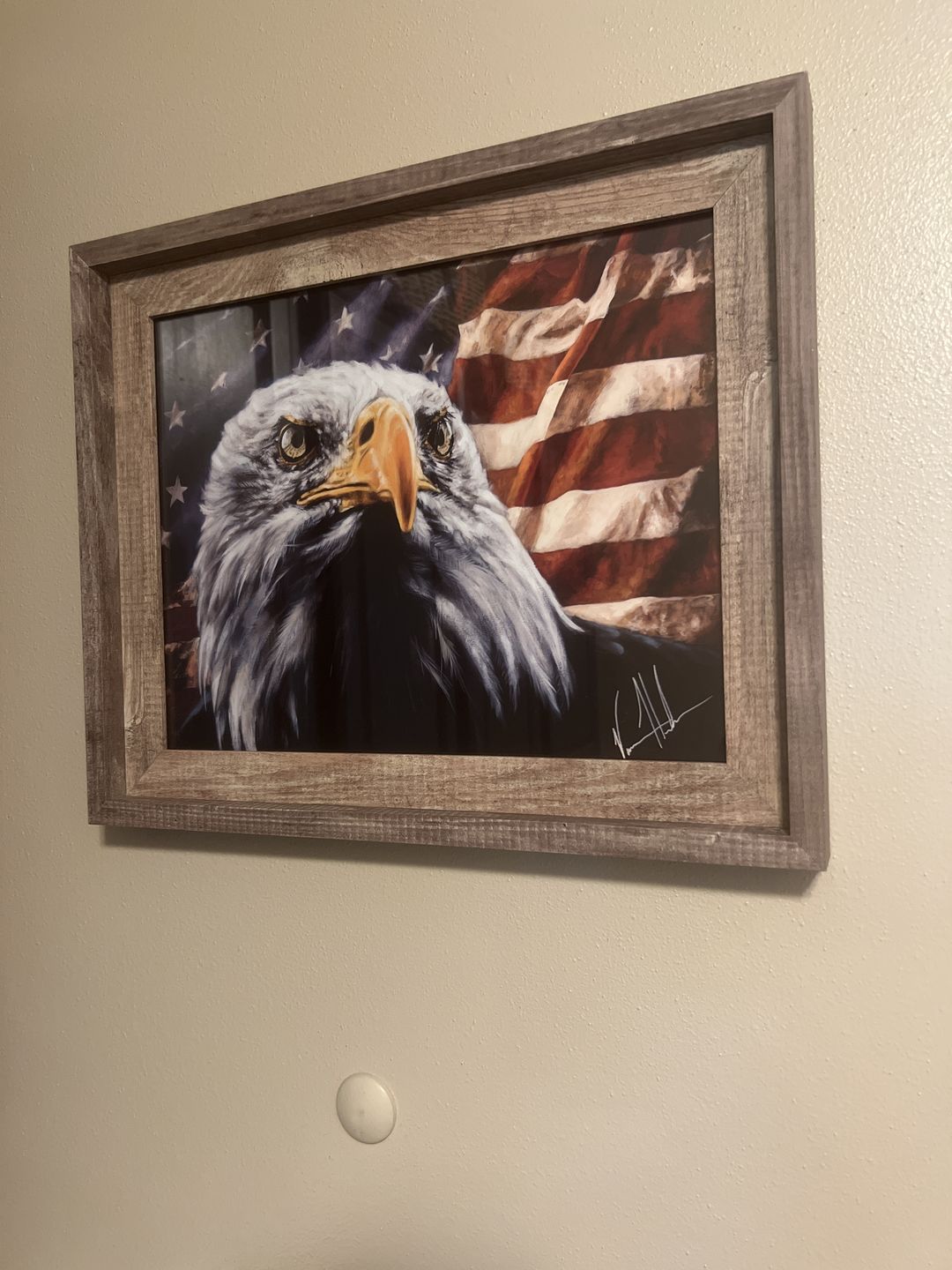 Customer photo review of The Fight for Freedom