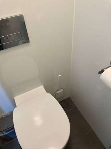 Customer photo review of Flexy Silicone Toilet Brush
