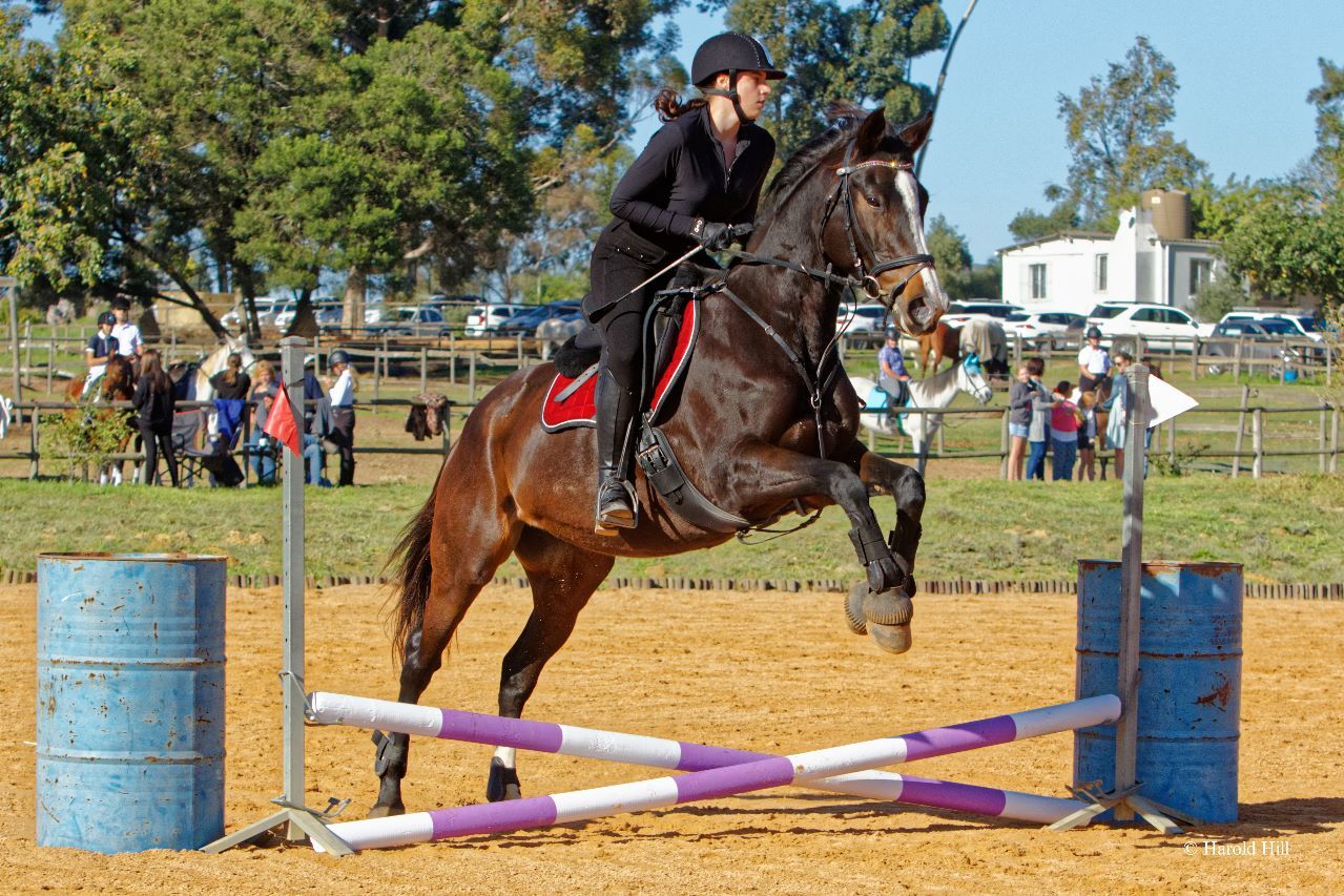 Customer photo review of Flexcare Equine (Joint Supplement For Horses)