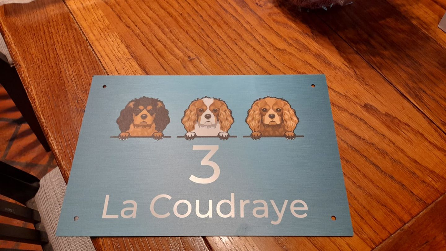 Customer photo review of Chiens curieux et numéro de maison - Plaque de porte personnalisée
