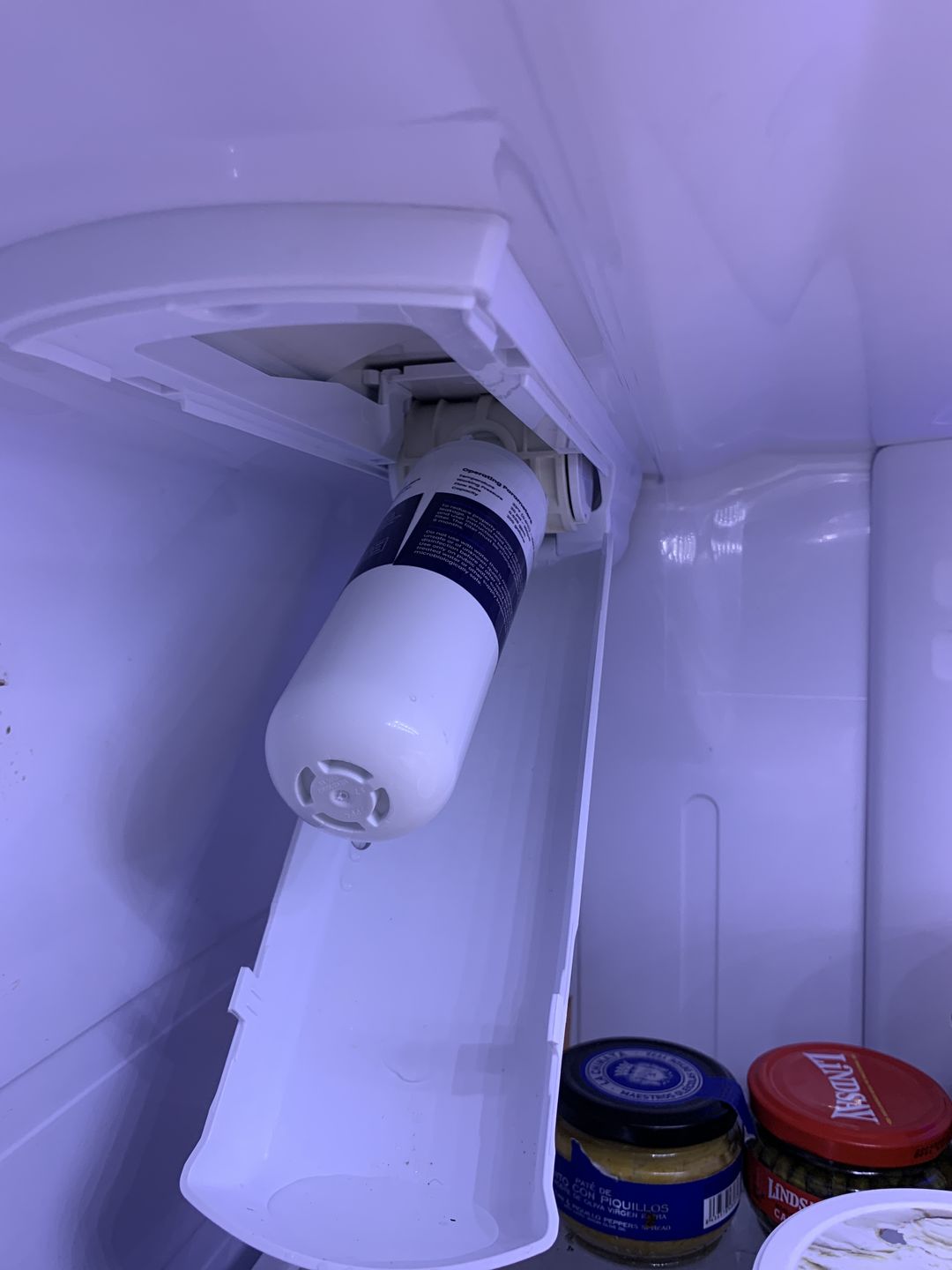 Customer photo review of Glacier Fresh Replacement for LT700P, ADQ36006101 Refrigerator Water Filter, 2-Pack