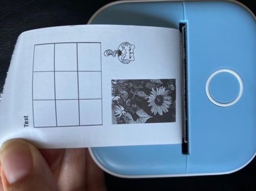 Customer photo review of Inkless Sticker Printer