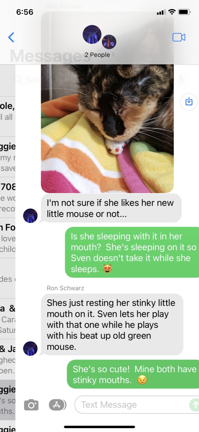 Customer photo review of Ambient™ Metallic Cordless Table Lamp