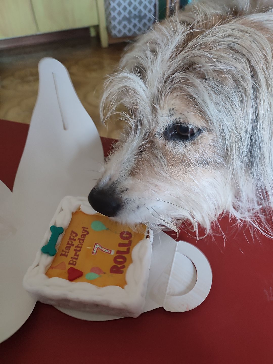 Customer photo review of Torta Per Cani Happy Birthday Personalizzabile Con NOME E ANNI