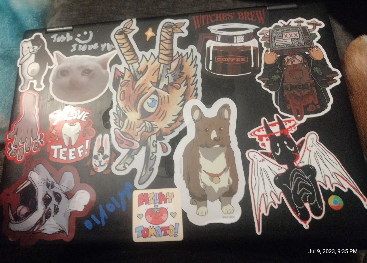 Customer photo review of TV Head Gore Stickers