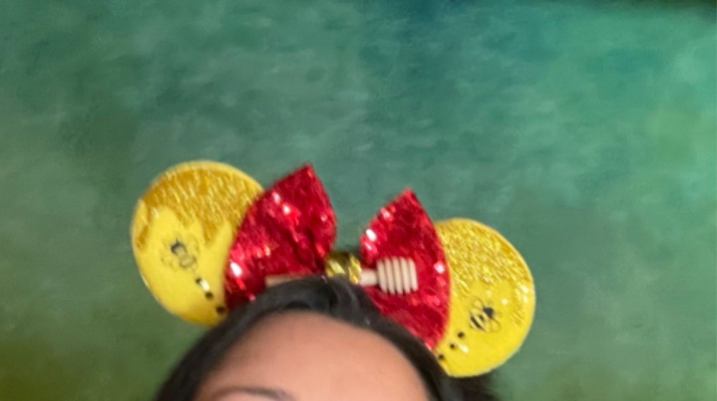 Customer photo review of Pooh Mickey Ears