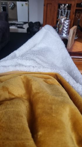 Customer photo review of Waterproof Splash blanket™ - Gold Mustard The OG