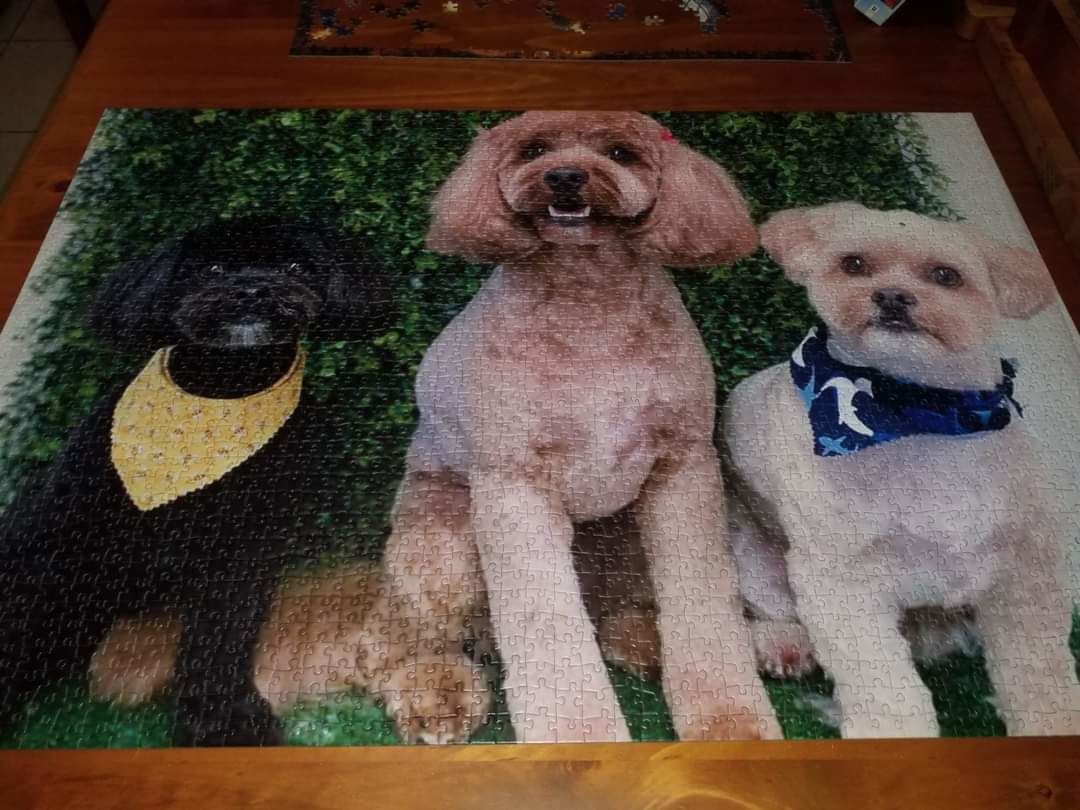 Customer photo review of Custom Jigsaw Puzzle From Photo 200, 300, 500, 1000, 1500, 2000 Piece Jigsaw