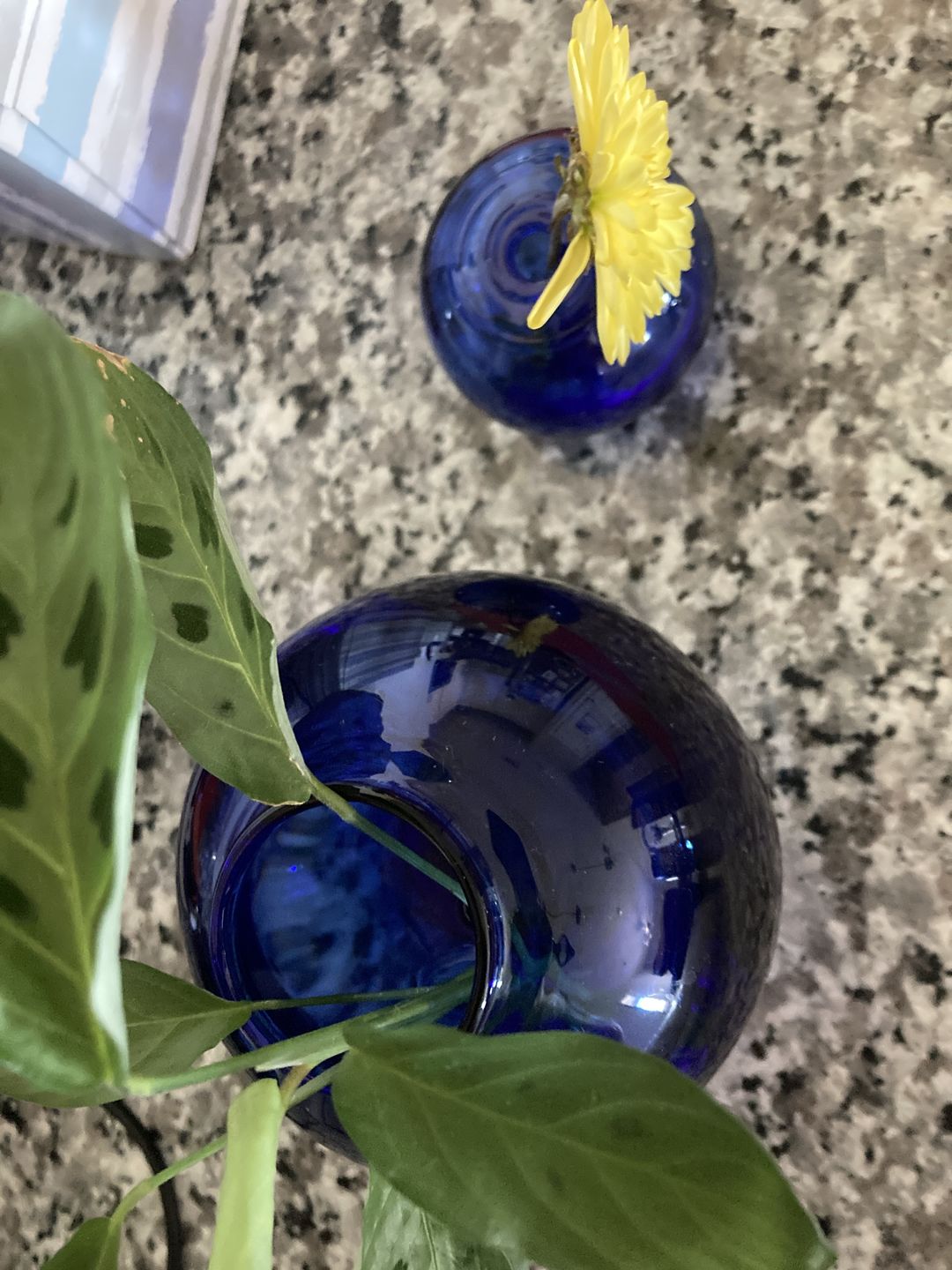 Customer photo review of Bud Vase