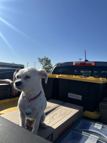 Customer photo review of Explorer