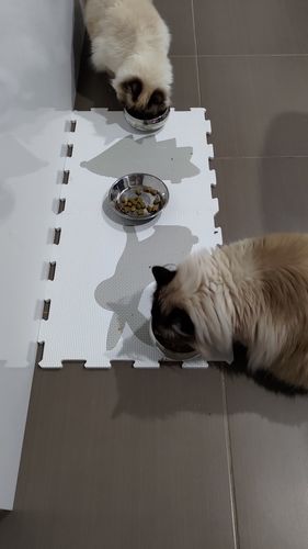 Customer photo review of Michu Freeze-Dried Raw Pet Food Pet Food 150g - Made in Australia