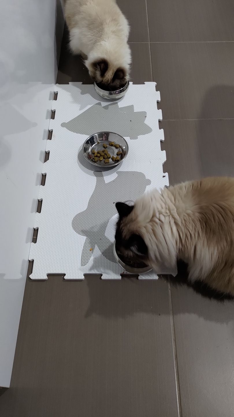 Customer photo review of Michu Freeze-Dried Raw Pet Food Pet Food 150g - Made in Australia