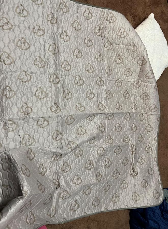 Customer photo review of Washable Pee Pads for Housebreaking Your Dog