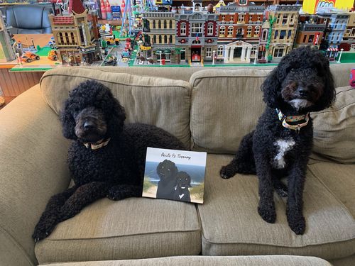 Customer photo review of Custom Cartoon Art Wrapped Pet Canvas