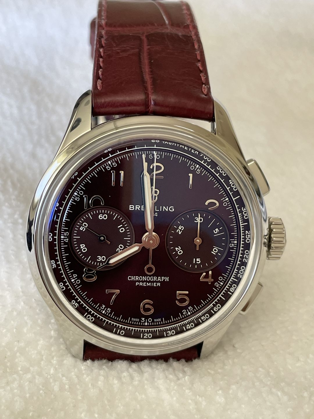 Customer photo review of Matte Bordeaux Alligator