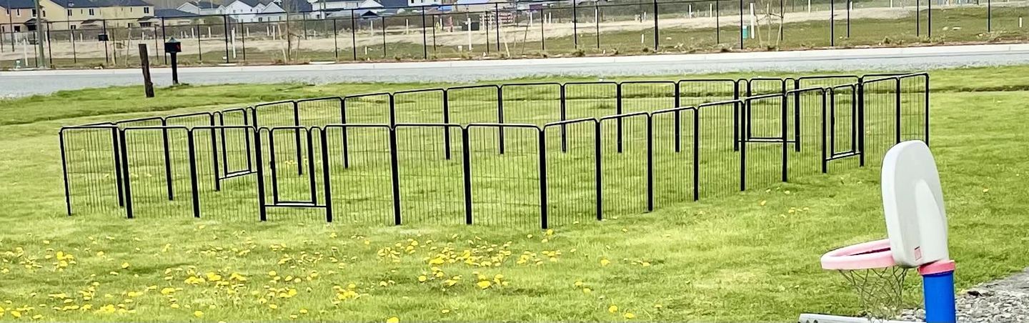 Customer photo review of Stake Bag for Storing & Transporting Playpen Stakes