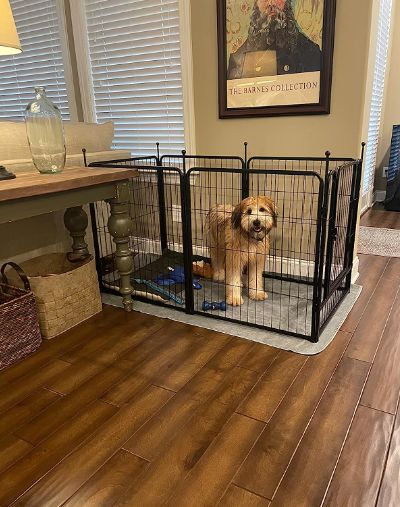 Customer photo review of Storage Bag for Storing & Carrying Playpen-Fits 8 Panels