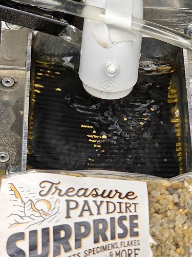 Customer photo review of *BOGO* Goldn Paydirt '$5,000 Nugget Giveaway' - Gold Panning Paydirt Concentrate