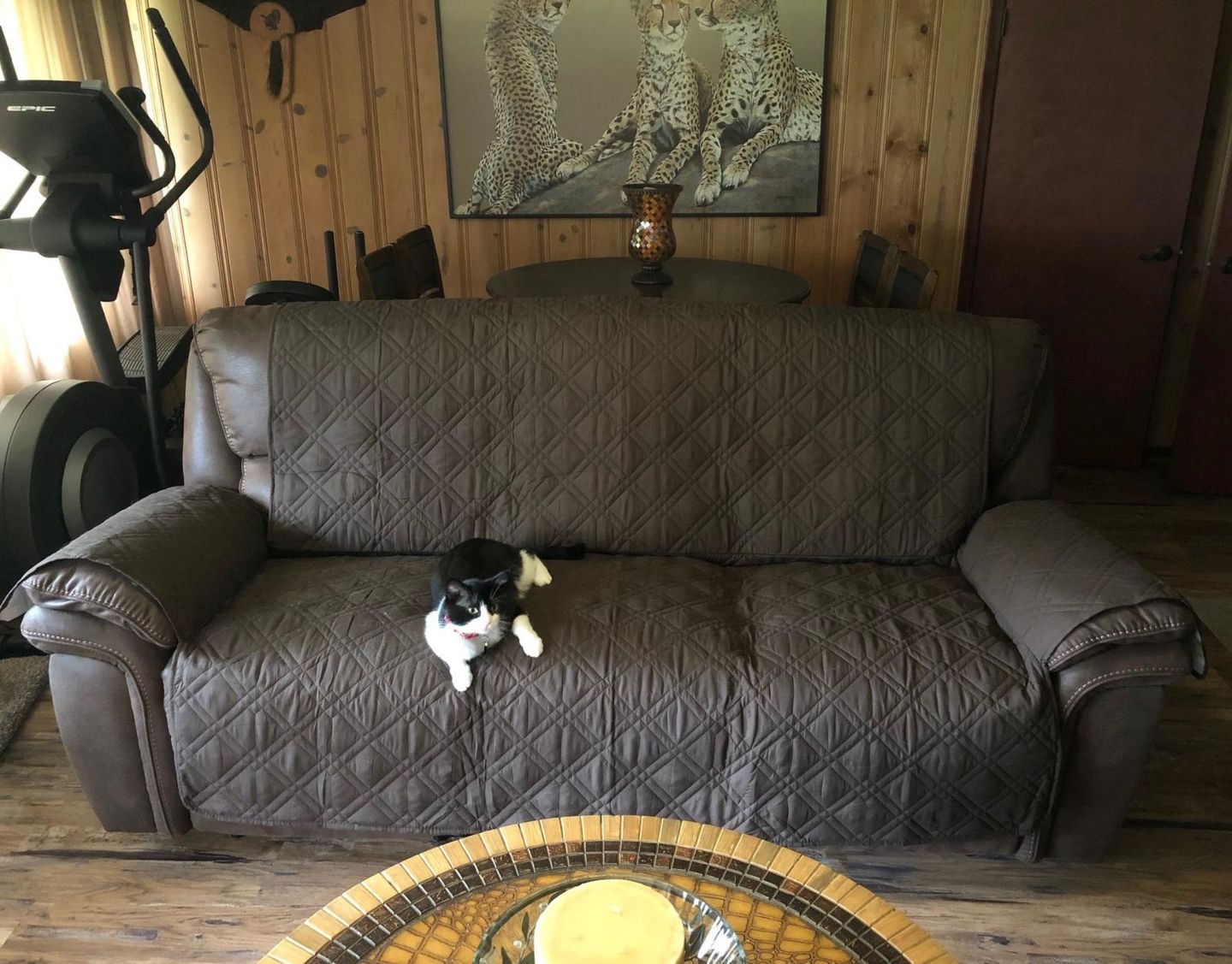 Customer photo review of Waterproof Recliner Chair Cover with Double Straps