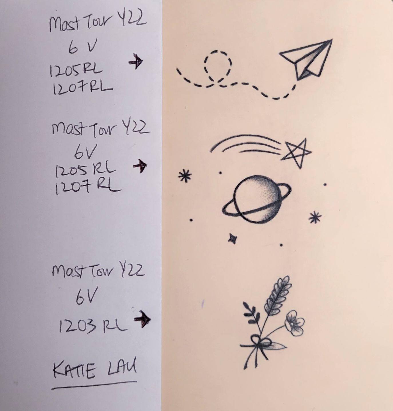 Customer photo review of PMU Online Course for Tiny Tattoos