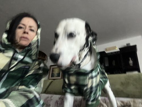 Customer photo review of Recovery Raincoat Camo for Dogs