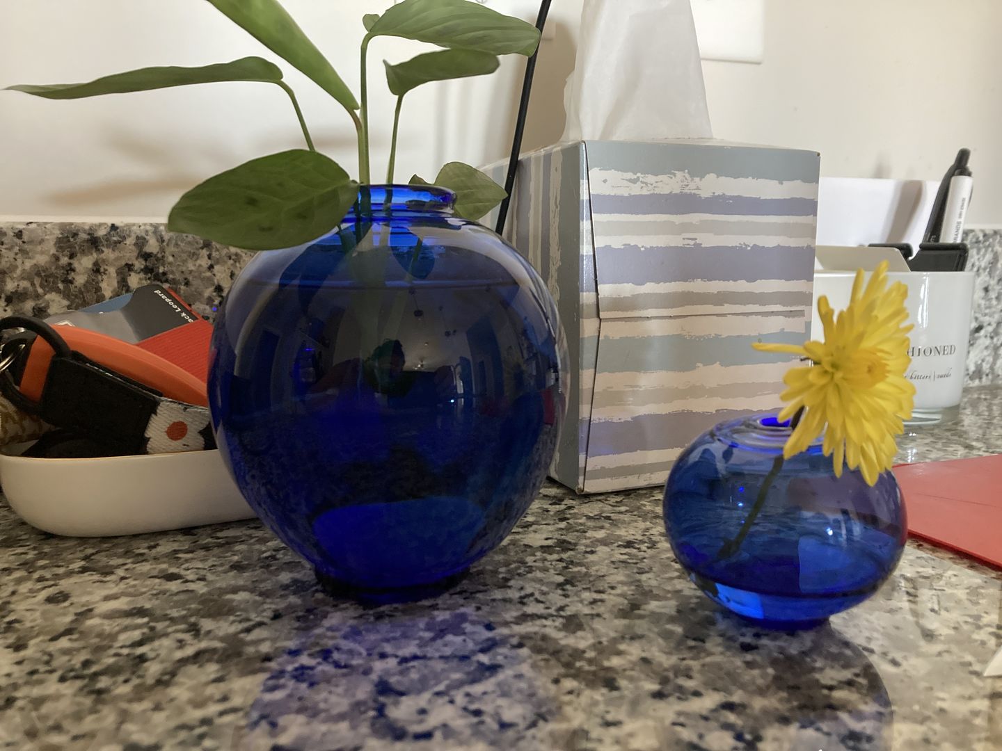 Customer photo review of Bud Vase