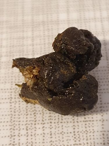 Customer photo review of 🌙 🪨 Moonrocks x 55% HHC