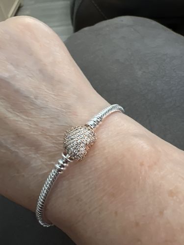 Customer photo review of Pandora Moments Bracelets