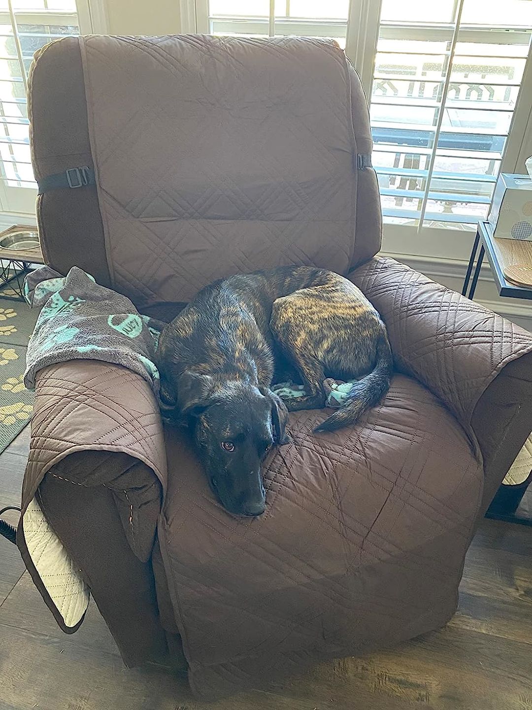 Customer photo review of Waterproof Recliner Chair Cover with Double Straps