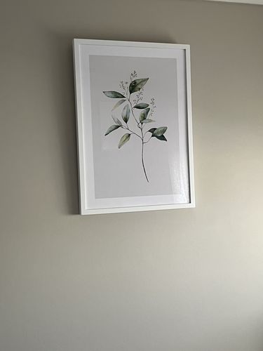 Customer photo review of Foliage I Art Print