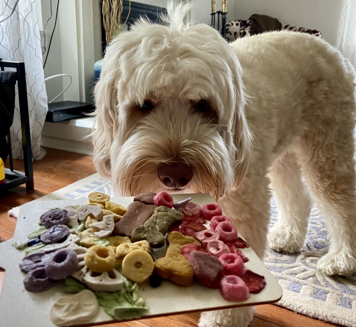 Customer photo review of Love Wins Board (LIMITED)