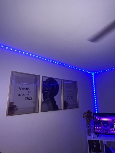 Customer photo review of Quotes I