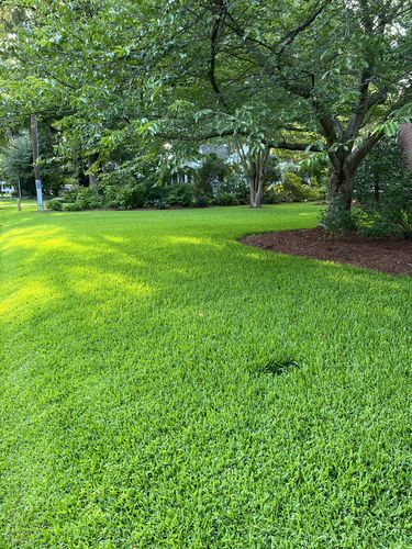 Customer photo review of Protene Performance Fall Fertilizer