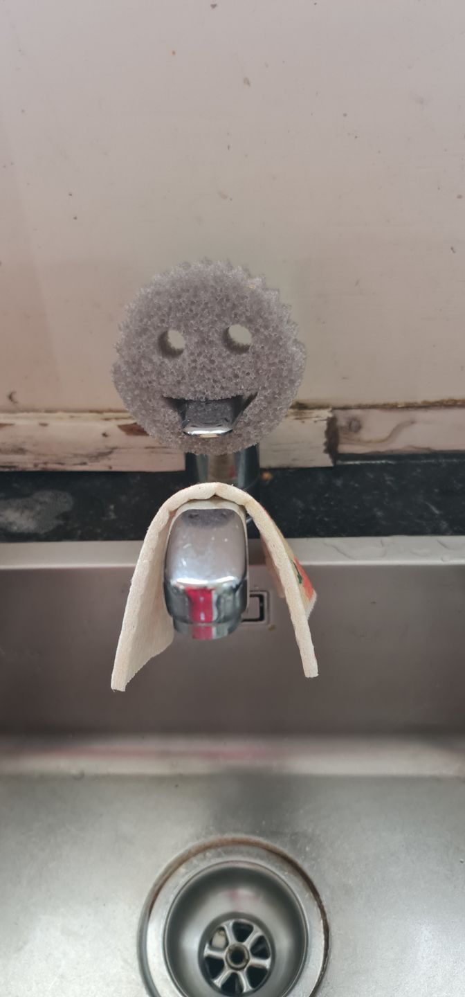 Customer photo review of Scrub Daddy Family (6 Pack)
