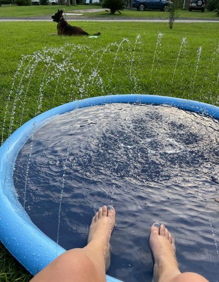 Customer photo review of Sprinkler Wasserspielmatte für Hunde