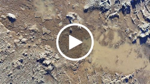 Customer video review of Zapato Hombre Moon Mid WP 31Q4797