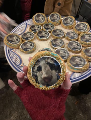 Customer photo review of 12 x 6.35 cm Round Standard Cookie Edible Icing Images