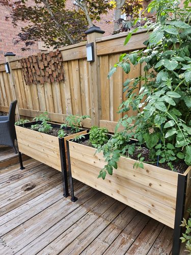 Customer photo review of 18" x 48" Raised Garden Bed