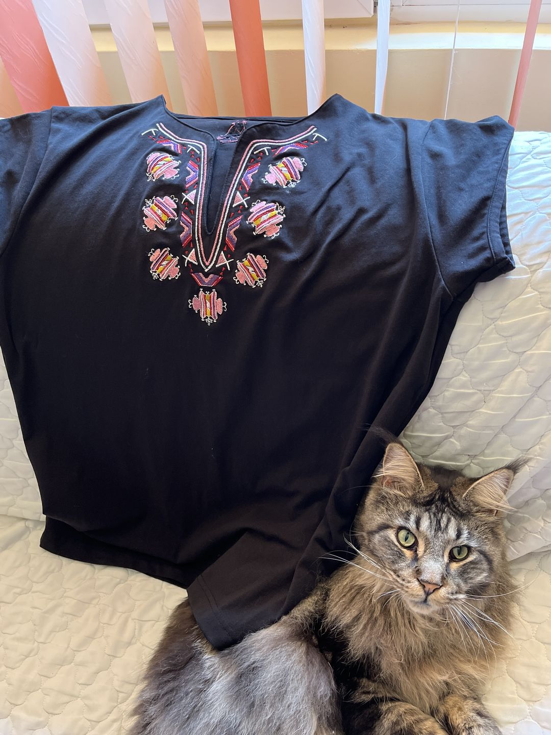 Customer photo review of Дамска тениска с V-деколте бродирана с мотиви от шопско в розово.