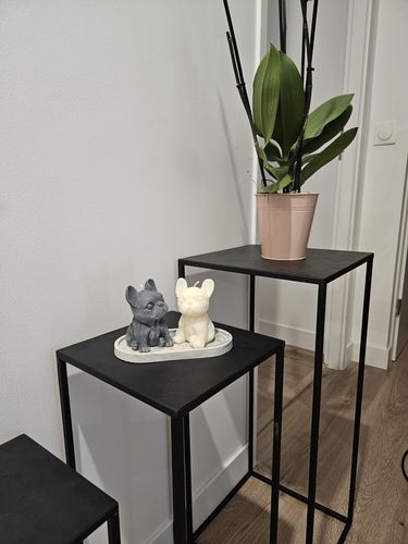 Customer photo review of Support Lise