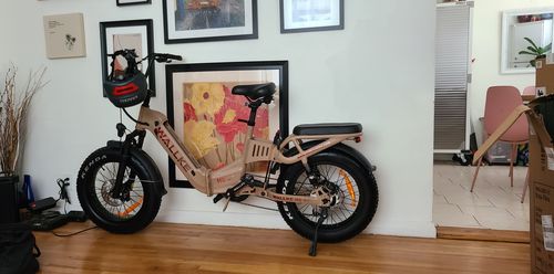 Customer photo review of Wallke H6 Dual Battery Step-Thru Folding Electric Bike