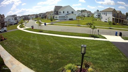 Customer photo review of OII-YS Natural Adjuvant